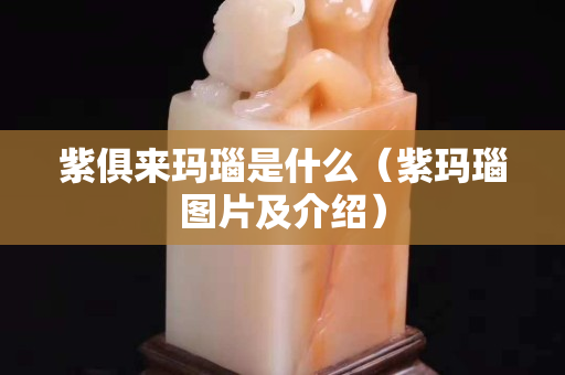 紫俱來瑪瑙是什么（紫瑪瑙圖片及介紹）
