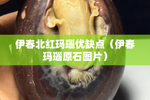 伊春北紅瑪瑙優缺點（伊春瑪瑙原石圖片）