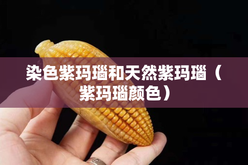 染色紫瑪瑙和天然紫瑪瑙（紫瑪瑙顏色）