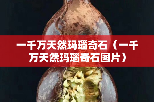 一千萬天然瑪瑙奇石（一千萬天然瑪瑙奇石圖片）