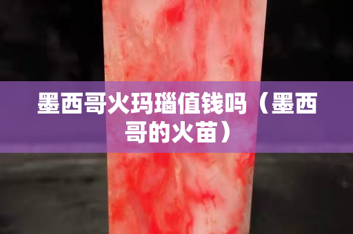 墨西哥火瑪瑙值錢嗎（墨西哥的火苗）