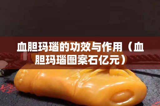 血膽瑪瑙的功效與作用（血膽瑪瑙圖案石億元）