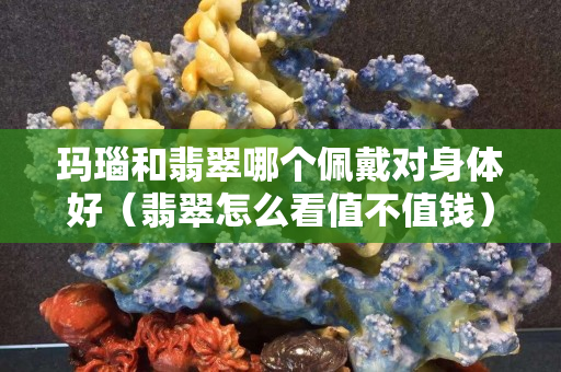 瑪瑙和翡翠哪個佩戴對身體好（翡翠怎么看值不值錢）