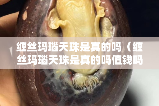 纏絲瑪瑙天珠是真的嗎（纏絲瑪瑙天珠是真的嗎值錢嗎）
