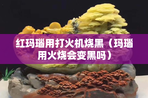 紅瑪瑙用打火機(jī)燒黑（瑪瑙用火燒會(huì)變黑嗎）