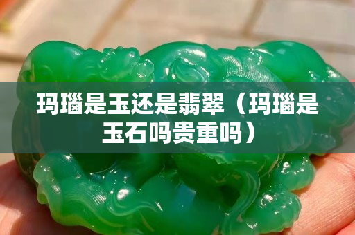 瑪瑙是玉還是翡翠（瑪瑙是玉石嗎貴重嗎）