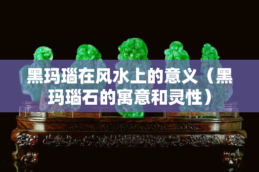 黑瑪瑙在風(fēng)水上的意義（黑瑪瑙石的寓意和靈性）