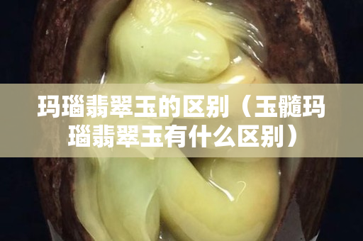 瑪瑙翡翠玉的區(qū)別（玉髓瑪瑙翡翠玉有什么區(qū)別）