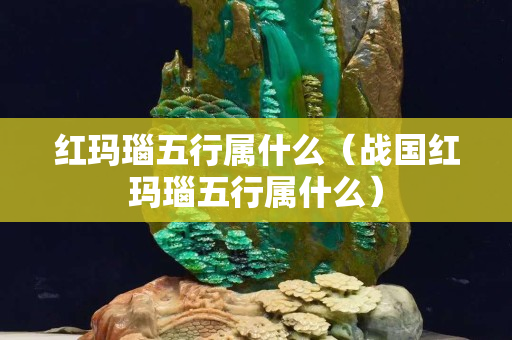 紅瑪瑙五行屬什么（戰國紅瑪瑙五行屬什么）