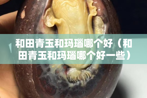 和田青玉和瑪瑙哪個好（和田青玉和瑪瑙哪個好一些）