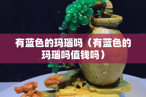 有藍色的瑪瑙嗎（有藍色的瑪瑙嗎值錢嗎）