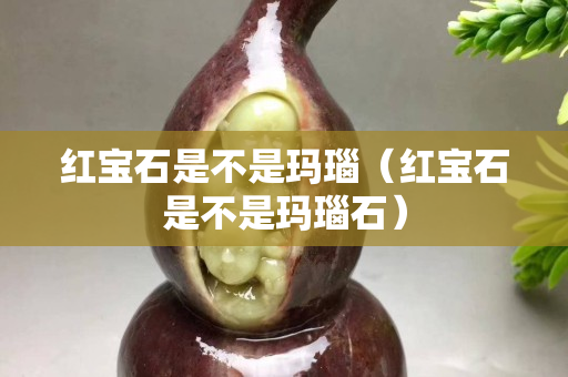 紅寶石是不是瑪瑙（紅寶石是不是瑪瑙石）