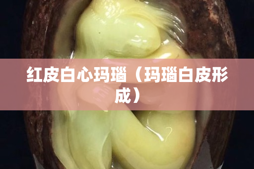 紅皮白心瑪瑙（瑪瑙白皮形成）