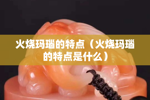 火燒瑪瑙的特點（火燒瑪瑙的特點是什么）