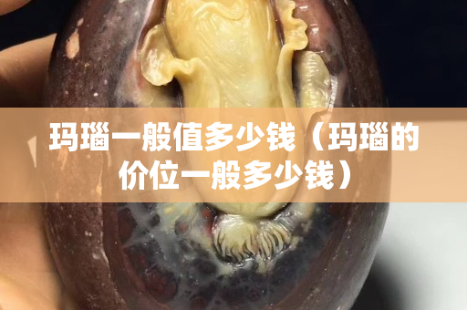 瑪瑙一般值多少錢（瑪瑙的價位一般多少錢）