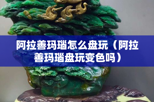 阿拉善瑪瑙怎么盤玩（阿拉善瑪瑙盤玩變色嗎）