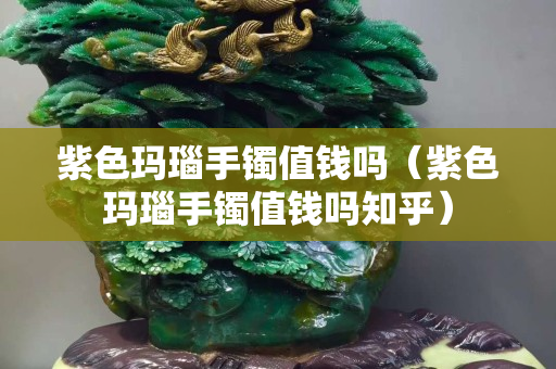 紫色瑪瑙手鐲值錢嗎（紫色瑪瑙手鐲值錢嗎知乎）