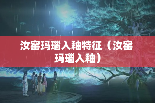 汝窯瑪瑙入釉特征（汝窯 瑪瑙入釉）