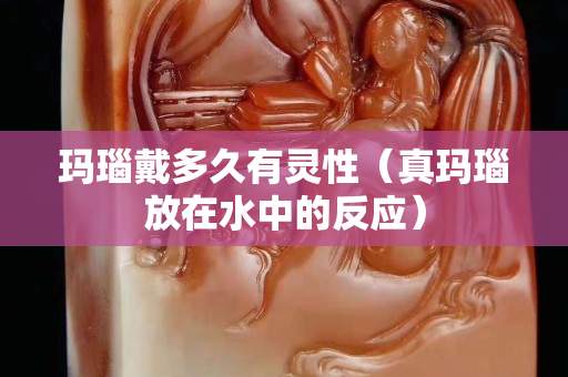 瑪瑙戴多久有靈性（真瑪瑙放在水中的反應(yīng)）