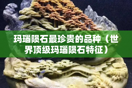 瑪瑙隕石最珍貴的品種（世界頂級瑪瑙隕石特征）