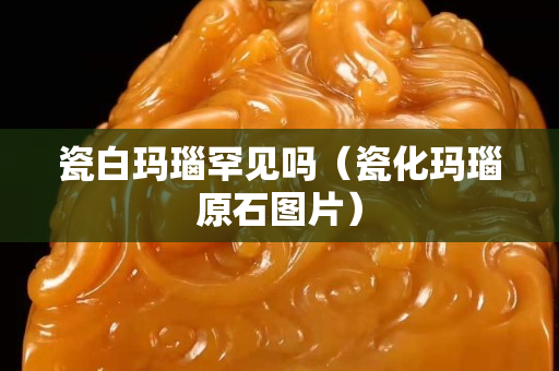 瓷白瑪瑙罕見嗎（瓷化瑪瑙原石圖片）