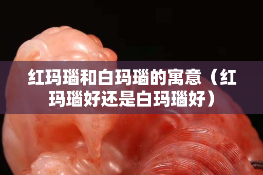 紅瑪瑙和白瑪瑙的寓意（紅瑪瑙好還是白瑪瑙好）