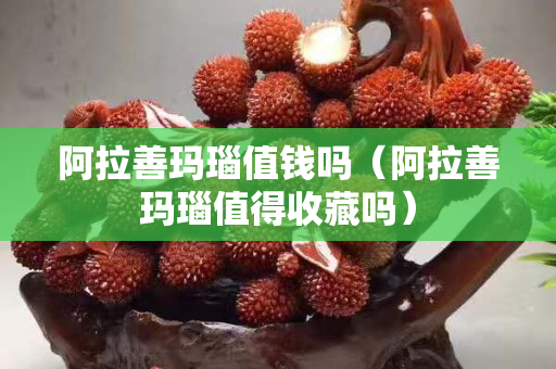 阿拉善瑪瑙值錢嗎（阿拉善瑪瑙值得收藏嗎）