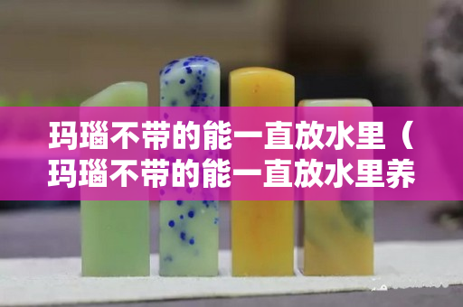 瑪瑙不帶的能一直放水里（瑪瑙不帶的能一直放水里養嗎）