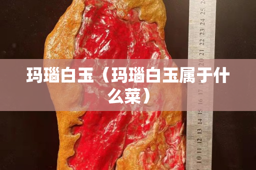 瑪瑙白玉（瑪瑙白玉屬于什么菜）
