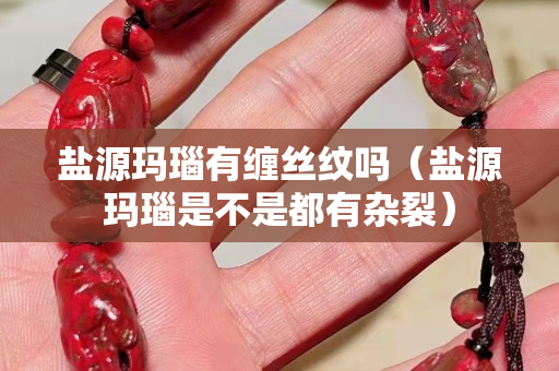 鹽源瑪瑙有纏絲紋嗎（鹽源瑪瑙是不是都有雜裂）