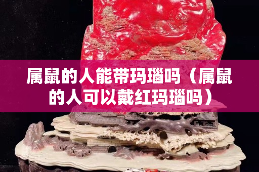 屬鼠的人能帶瑪瑙嗎（屬鼠的人可以戴紅瑪瑙嗎）