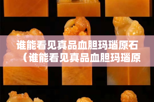 誰能看見真品血膽瑪瑙原石（誰能看見真品血膽瑪瑙原石的真假）