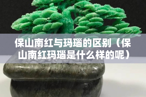 保山南紅與瑪瑙的區別（保山南紅瑪瑙是什么樣的呢）