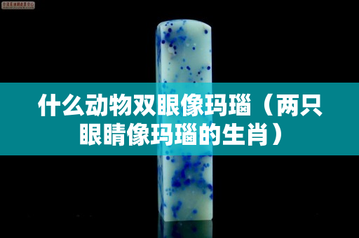 什么動物雙眼像瑪瑙（兩只眼睛像瑪瑙的生肖）