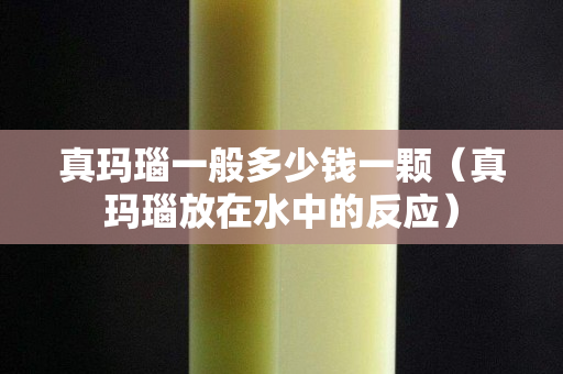 真瑪瑙一般多少錢一顆（真瑪瑙放在水中的反應）