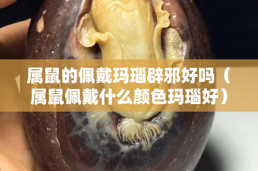 屬鼠的佩戴瑪瑙辟邪好嗎（屬鼠佩戴什么顏色瑪瑙好）