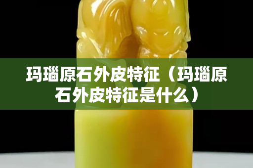 瑪瑙原石外皮特征（瑪瑙原石外皮特征是什么）