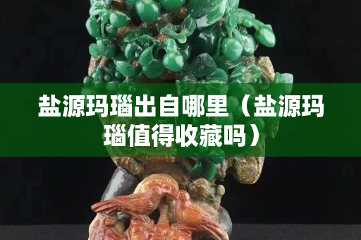鹽源瑪瑙出自哪里（鹽源瑪瑙值得收藏嗎）