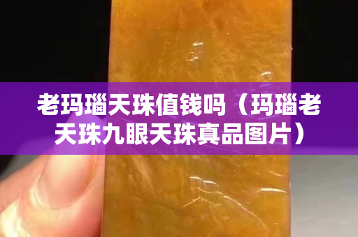 老瑪瑙天珠值錢嗎（瑪瑙老天珠九眼天珠真品圖片）