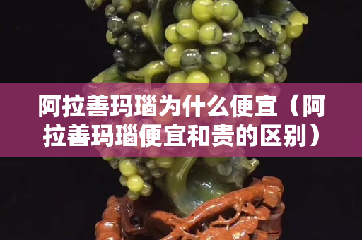 阿拉善瑪瑙為什么便宜（阿拉善瑪瑙便宜和貴的區別）