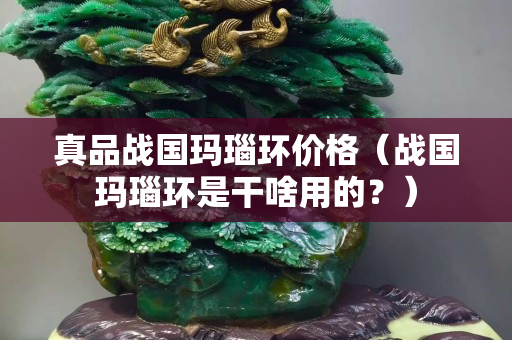 真品戰國瑪瑙環價格（戰國瑪瑙環是干啥用的？）