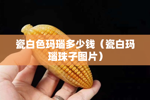 瓷白色瑪瑙多少錢（瓷白瑪瑙珠子圖片）