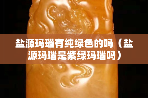 鹽源瑪瑙有純綠色的嗎（鹽源瑪瑙是紫綠瑪瑙嗎）