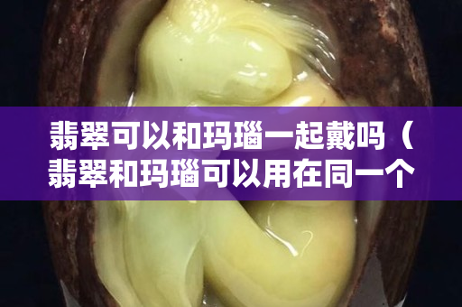 翡翠可以和瑪瑙一起戴嗎（翡翠和瑪瑙可以用在同一個(gè)手鏈嗎）