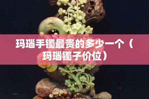 瑪瑙手鐲最貴的多少一個（瑪瑙鐲子價位）