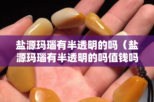 鹽源瑪瑙有半透明的嗎（鹽源瑪瑙有半透明的嗎值錢嗎）