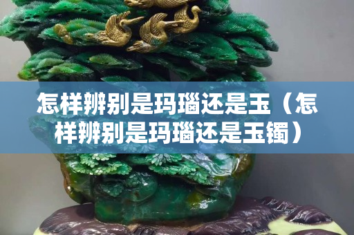 怎樣辨別是瑪瑙還是玉（怎樣辨別是瑪瑙還是玉鐲）