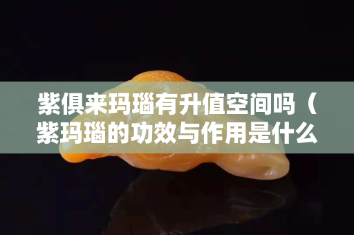 紫俱來瑪瑙有升值空間嗎（紫瑪瑙的功效與作用是什么）