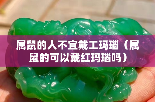 屬鼠的人不宜戴工瑪瑙（屬鼠的可以戴紅瑪瑙嗎）