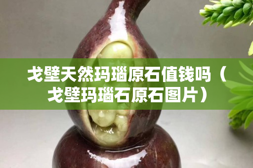 戈壁天然瑪瑙原石值錢嗎（戈壁瑪瑙石原石圖片）